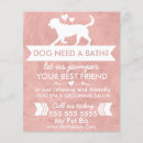 Search for soft flyers Elegant