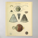 Search for optometry art Vintage