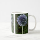 Search for botany mugs Photography