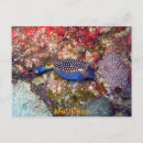 Recherche de plongée sous marine cartes postales Poisson