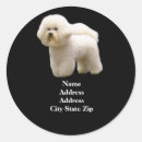 Recherche de bichon dog autocollants Frissonner