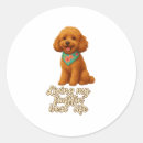 Search for toy poodle stickers Animal