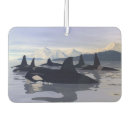 Search for dolphin car air fresheners Killer whale