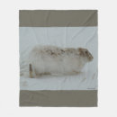Search for hare blankets Rabbit