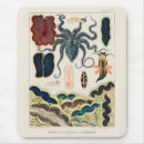 Search for biologists electronics Vintage