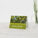 Search for spring love photography Trees