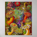 Search for vintage scientific illustration posters Sea