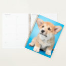 Search for corgi gifts Pembroke welsh corgi