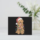 Search for golden retriever lover postcards Funny