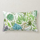 Search for succulent pillows Plants