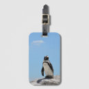 Search for penguin luggage tags Cute animals