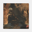 Recherche de focalisation magnets Amitié