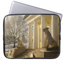 Recherche de temple coques Neige