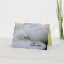 Search for blank religious cards Scripture