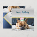 Recherche de french bulldog invitations Chien