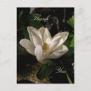 Search for merchbooth postcards Flowers