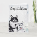 Search for husky cards Winter