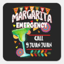 Search for emergency stickers Fiesta