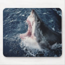 Recherche de boucher tapis souris Animal