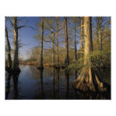 Recherche de refuge posters Parc