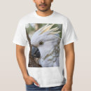 Recherche de cockatoo tshirts Perroquet