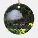 Search for egret ornaments Birds