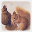 Recherche de noyer autocollants Écureuils