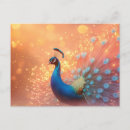 Recherche de plumage cartes postales Coloré