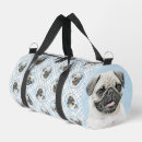 Recherche de carlin sacs Marais