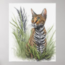 Recherche de chat du bengale posters Félin
