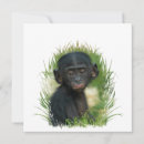 Recherche de ape vœux cartes Primate