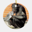 Search for chimpanzees ornaments Primates