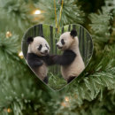 Search for bamboo ornaments Forest