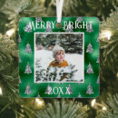 Search for sparkly ornaments Silver glitter