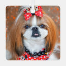 Search for shih tzu puppy ornaments Animal