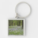 Search for bluebell keychains Tree