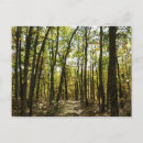 Search for appalachian trail postcards Nature