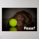 Recherche de extractie posters Laboratoire de chocolat