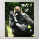 Recherche de gorille drôle posters Singe