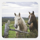 Search for nature scene stickers Animals