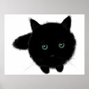 Search for fuzzy cat posters Feline