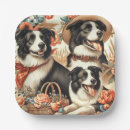 Search for border collie plates Dogs