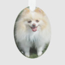 Recherche de pomeranian ornements Animal familier