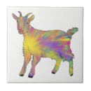 Search for animal tiles Funny