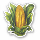 Search for corn on the cob stickers Vegetable