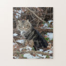 Recherche de chat sauvage puzzles Neige
