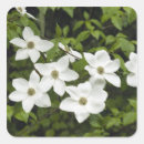 Search for national flower stickers Plant