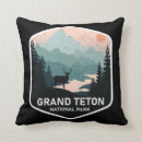 Search for vintage national park pillows Montana