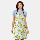Search for fruit slice aprons Orange