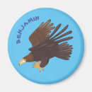 Recherche de rapace magnets Dessin